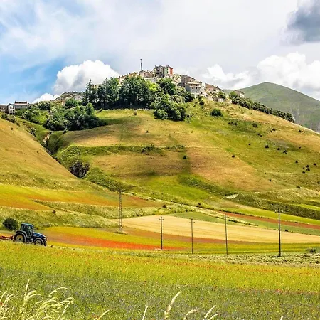 Near And Mount Subasio *